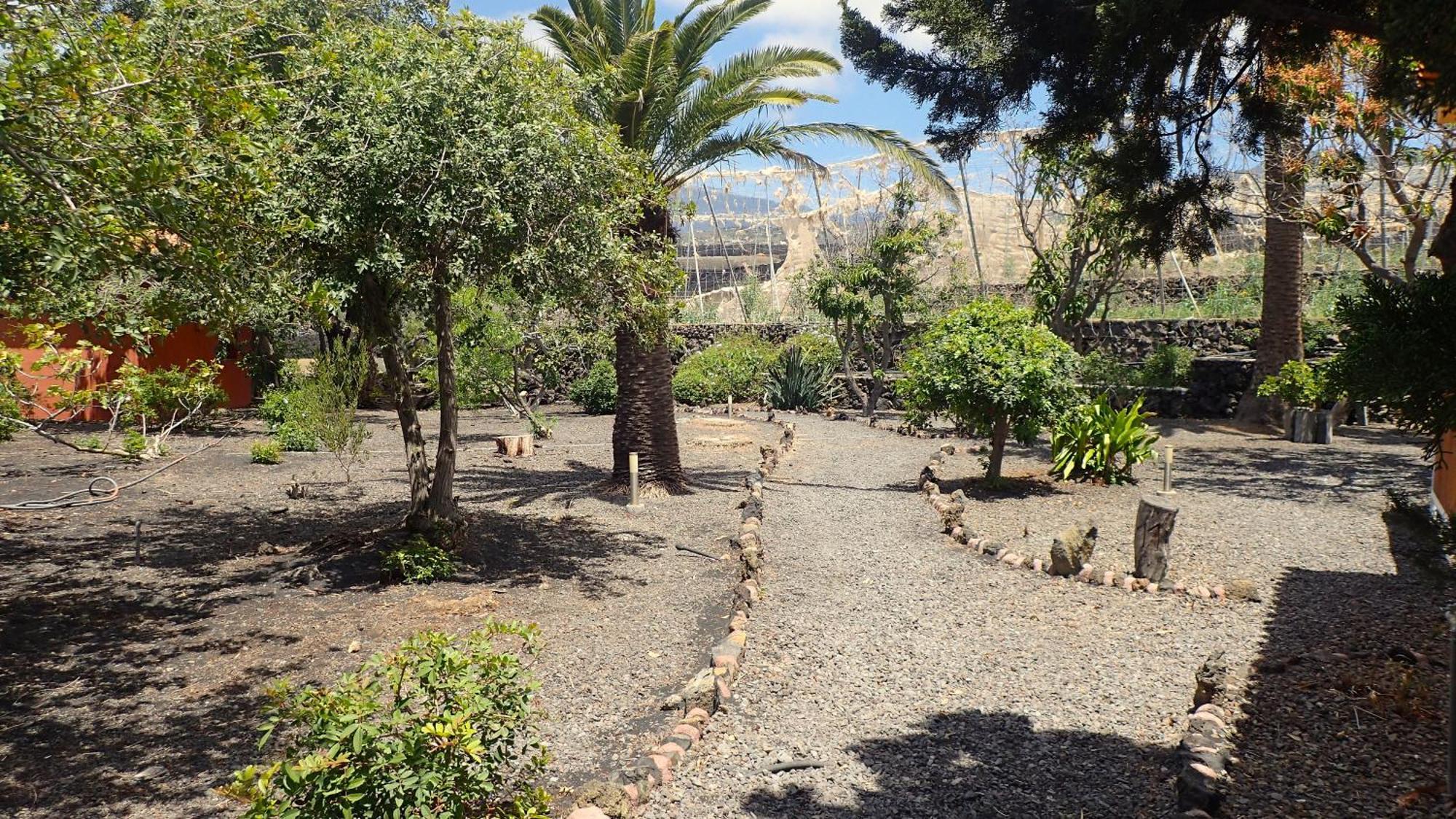 Bungalows El Paradiso タサコルテ エクステリア 写真