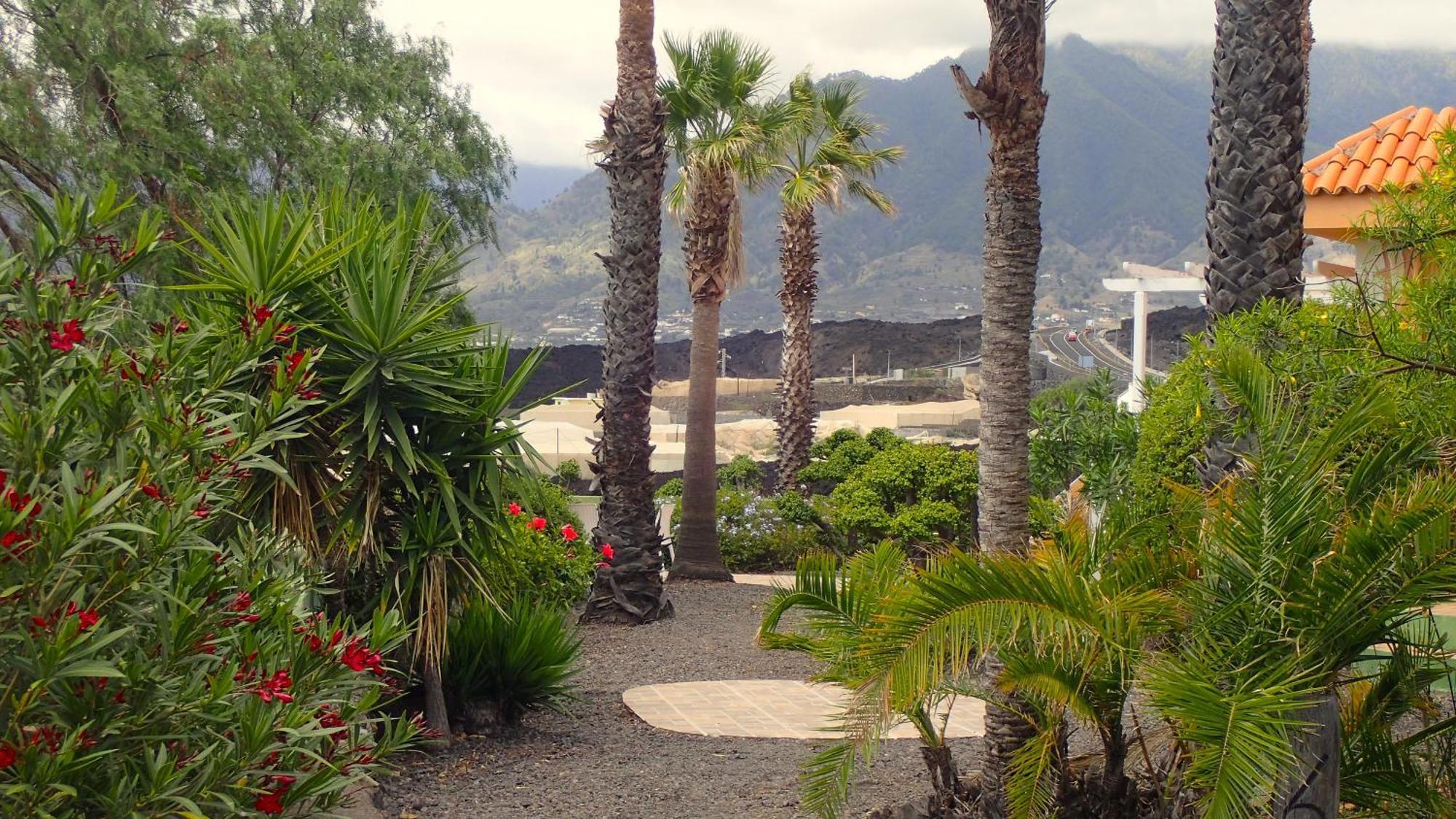 Bungalows El Paradiso タサコルテ エクステリア 写真